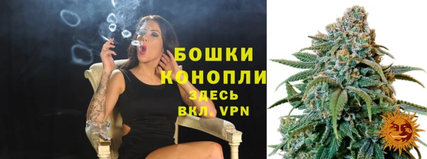 мдпв Новозыбков