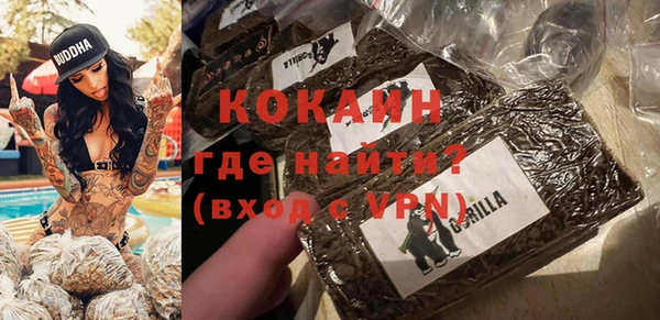мдпв Новозыбков