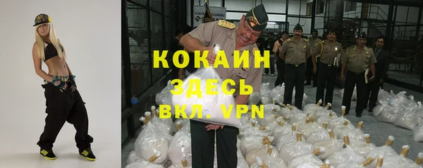 мдпв Новозыбков
