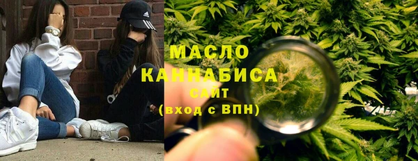 мдпв Новозыбков