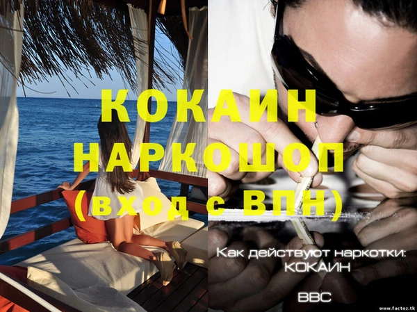 мдпв Новозыбков