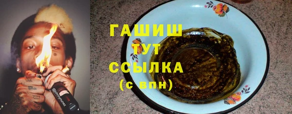 мдпв Новозыбков