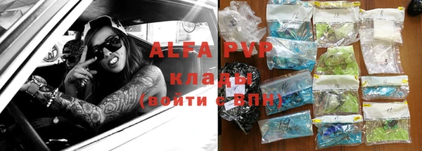 мдпв Новозыбков