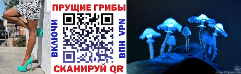 Псилоцибиновые грибы мицелий  наркота  Ахтырский 
